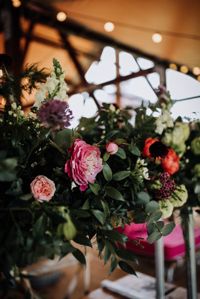 Bramble-and-Wild-Flowers