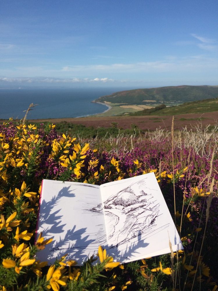 Rachel-Painter-Exmoor-Sketch