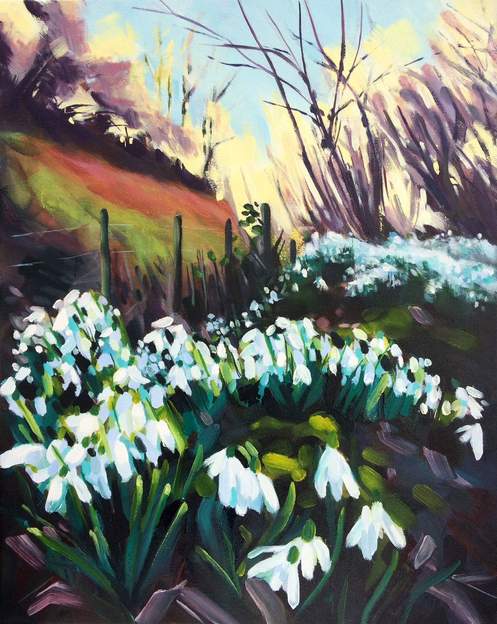 Rachel-Painter-Snowdrops