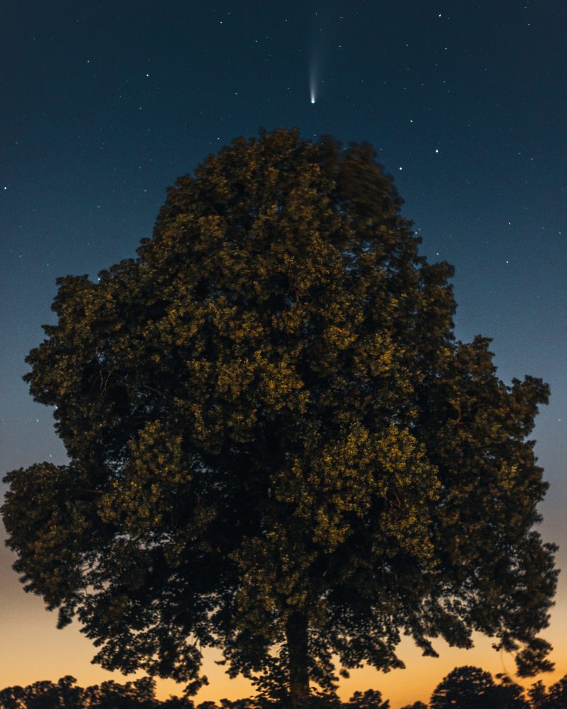 Comet-Neowise-Clifton-Downs